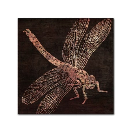 Color Bakery 'Dragonfly' Canvas Art,18x18